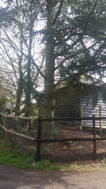 Latchmead Bed & Breakfast Stansted Mountfitchet Luaran gambar